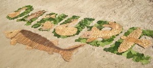Mitmachen beim Kreativwettbewerb „Danube Art Master“