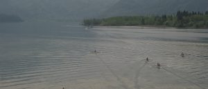 ABSAGE – Zweier-Langstreckenregatta und Anrudern am Mondsee